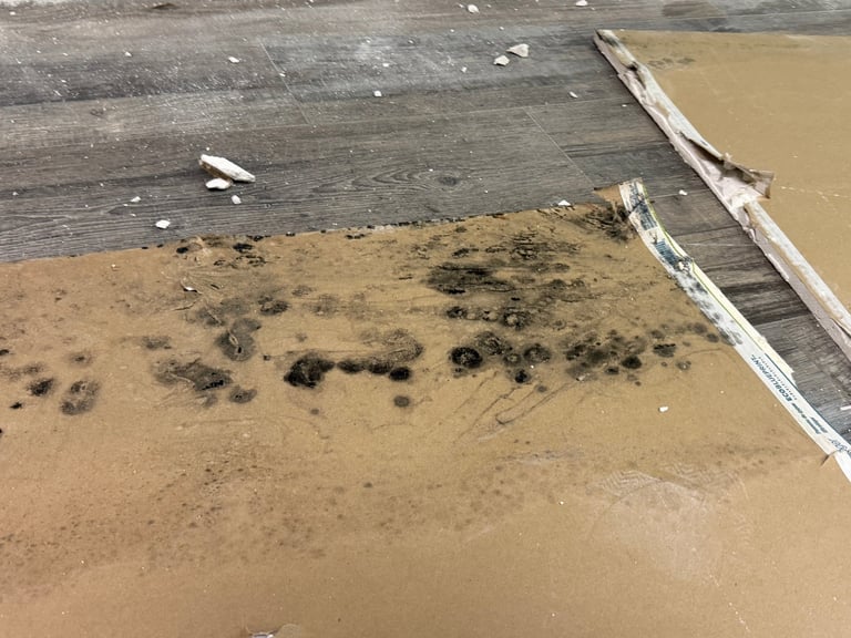 Aerial view of muddy water with driftwood logs and scattered rocks along the shoreline
